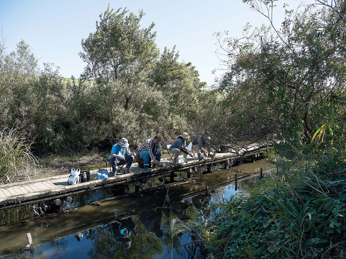 全国おすすめ釣り場ガイド 千葉県 野田市／木間ケ瀬周辺のホソ タナゴ